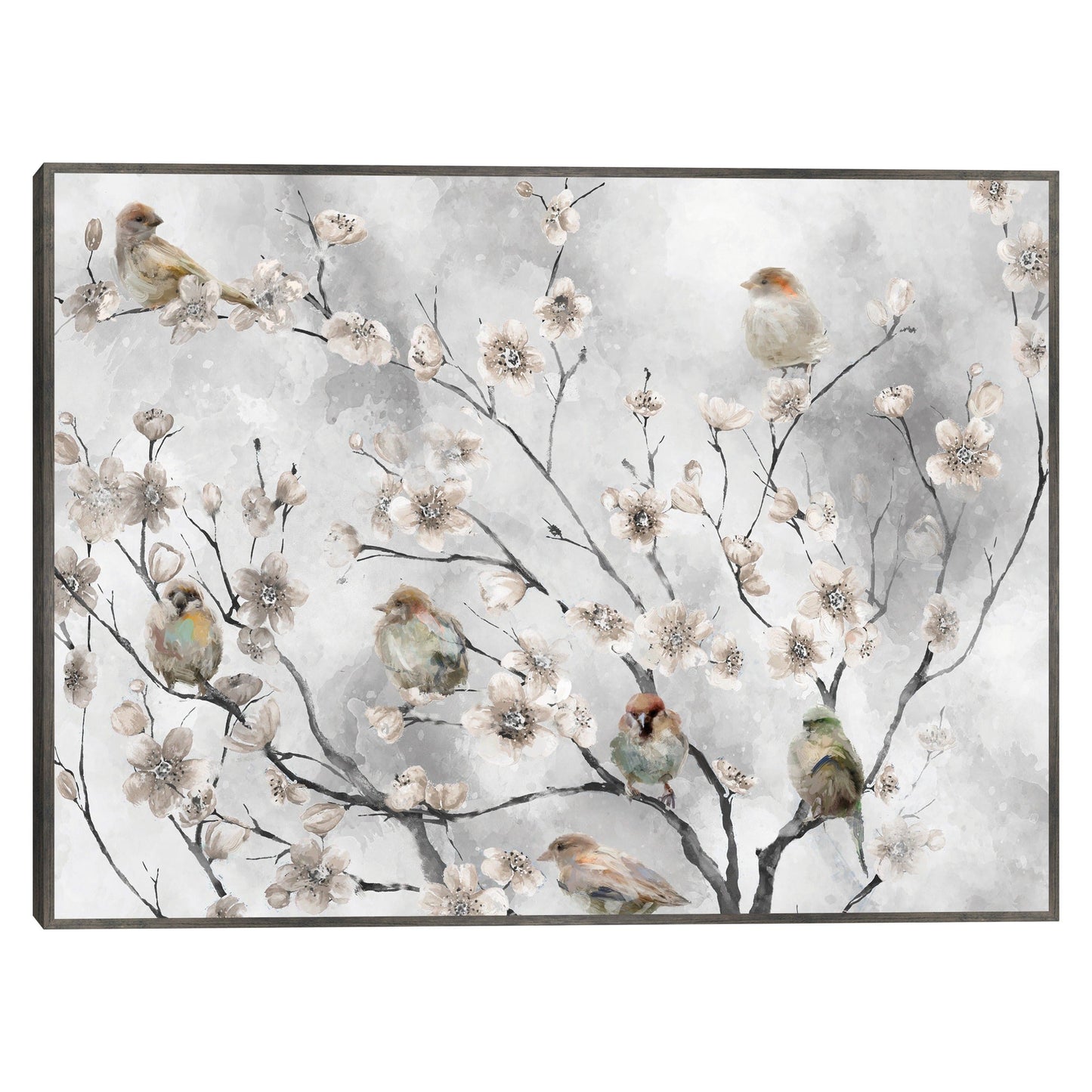 Aves de flor de cerezo - Studio Arts