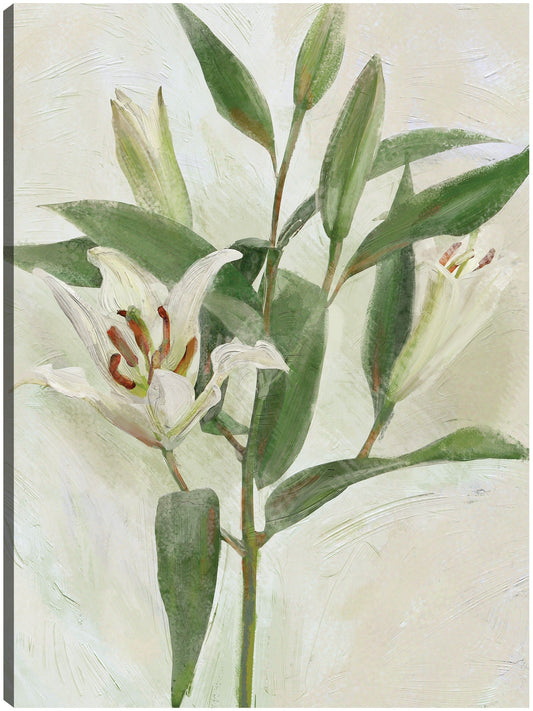Lys Blancs I - Studio Arts