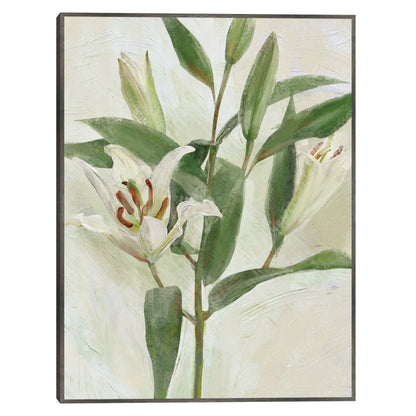 Lys Blancs I - Studio Arts