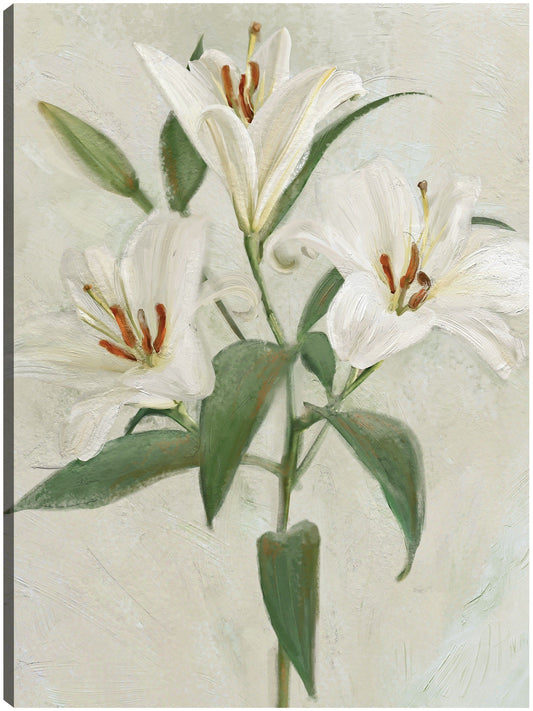 Lys Blancs II - Studio Arts