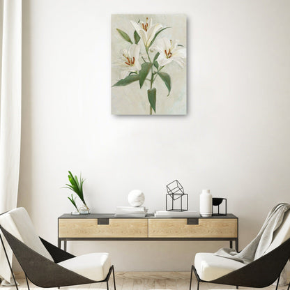Lys Blancs II - Studio Arts