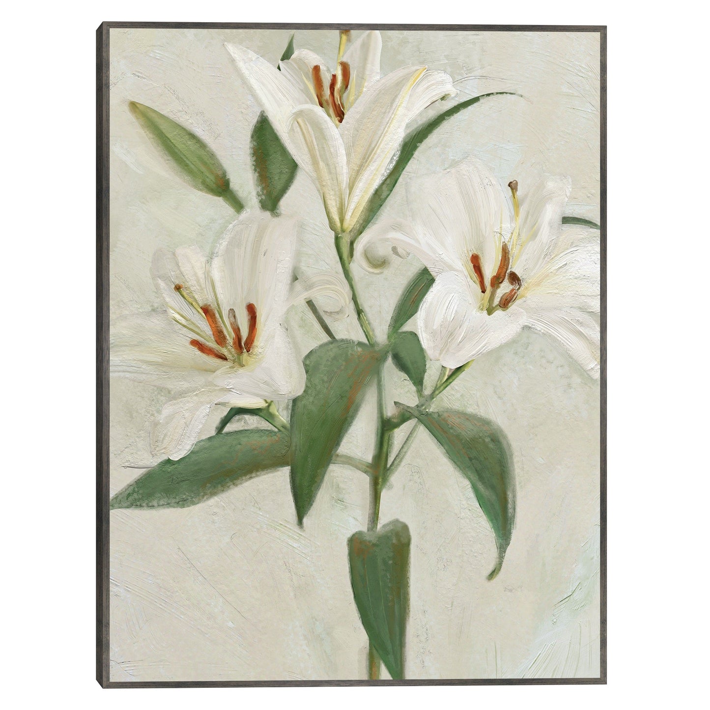Lys Blancs II - Studio Arts