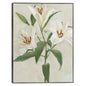 Lys Blancs II - Studio Arts