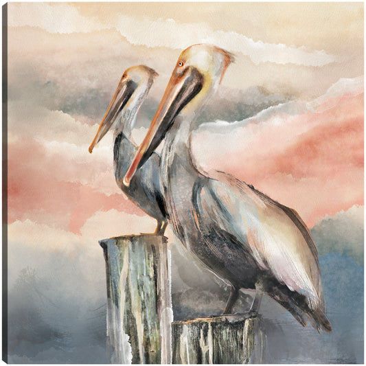 Pelícanos al atardecer - Studio Arts