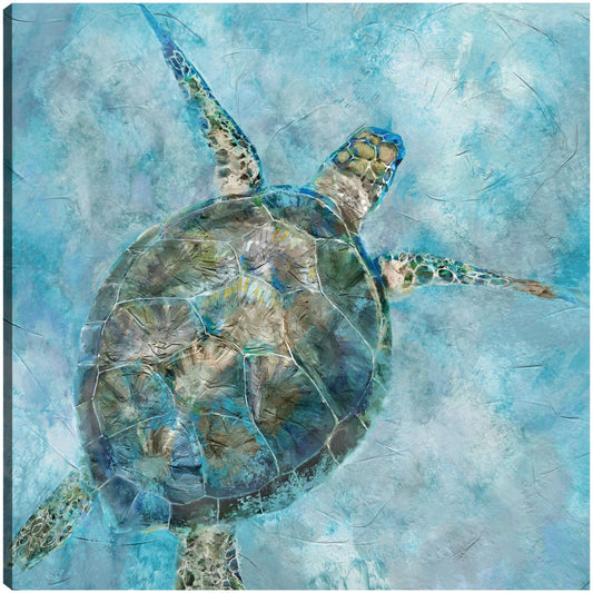 Blues de tortuga marina - Studio Arts