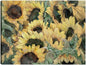 Gafas de sol - Studio Arts