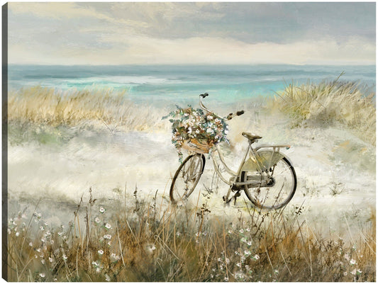 Bicicleta de playa - Studio Arts
