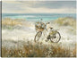 Bicicleta de playa - Studio Arts