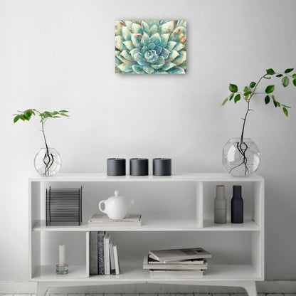 Flor de cacto - Studio Arts