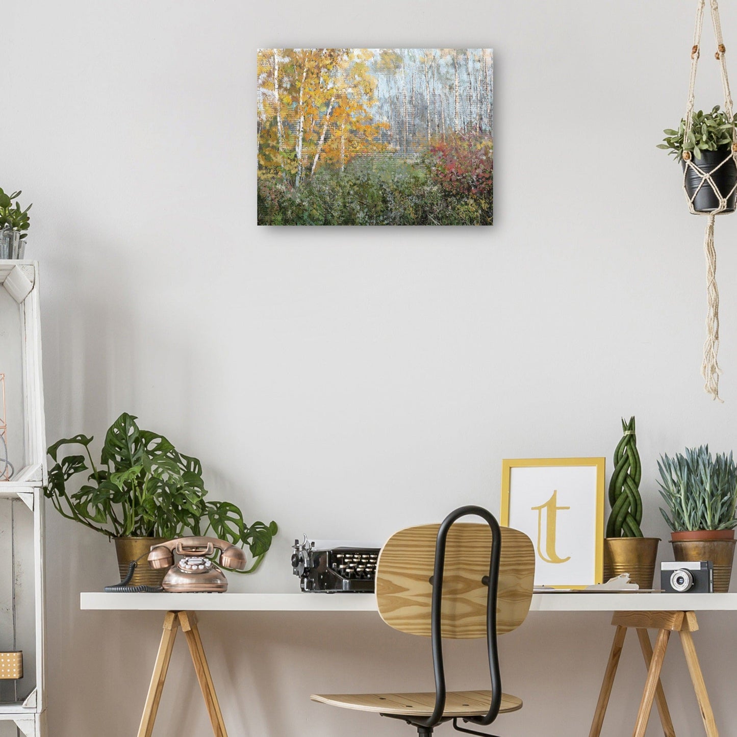 Rueda de color - Studio Arts
