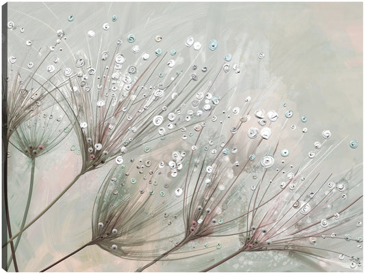 Gotas de rocío - Studio Arts