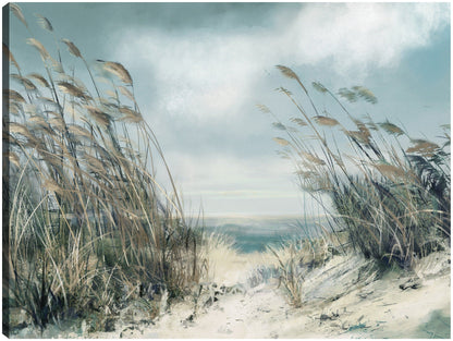 Hierbas de dunas blandas - Studio Arts
