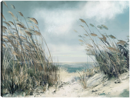 Hierbas de dunas blandas - Studio Arts