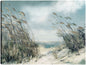 Hierbas de dunas blandas - Studio Arts