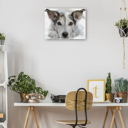 Sabuesos de galería I - Studio Arts