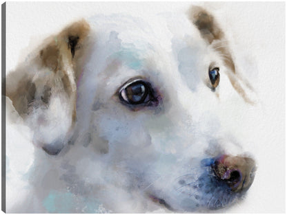 Sabuesos de galería III - Studio Arts