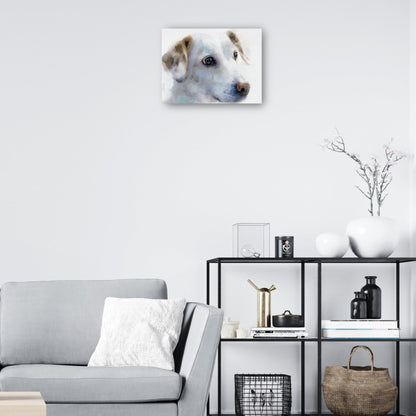 Sabuesos de galería III - Studio Arts