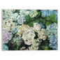 Jardín de hortensias - Studio Arts