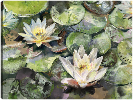 Flores de loto - Studio Arts