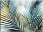 Palma de colores II - Studio Arts