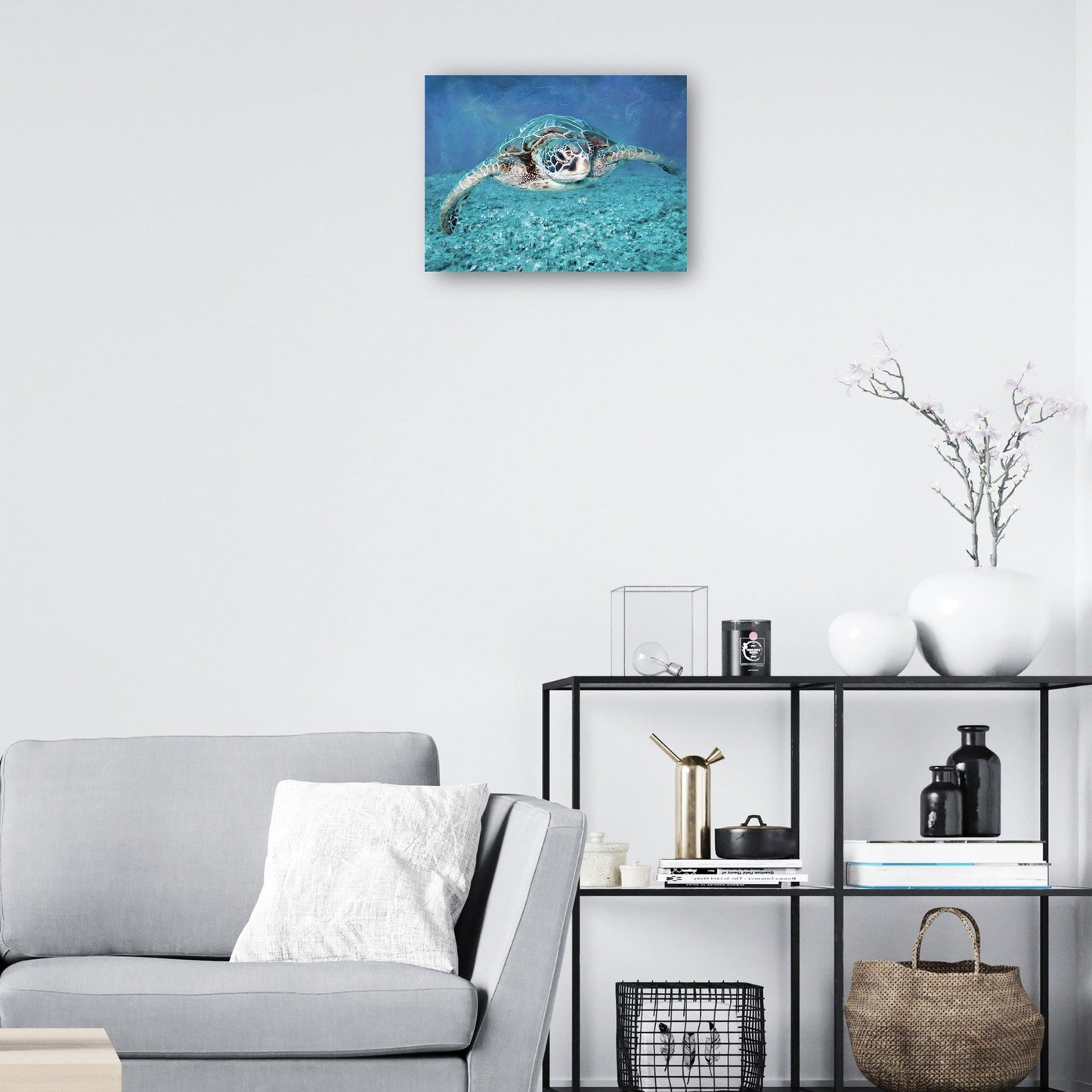 Tortuga marina - Studio Arts