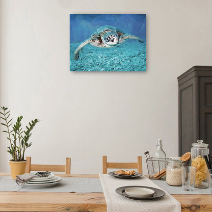 Tortuga marina - Studio Arts