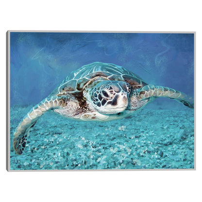 Tortuga marina - Studio Arts