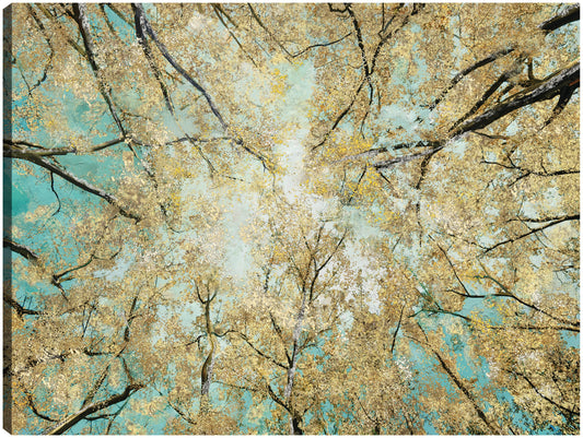 Cielo alto - Studio Arts