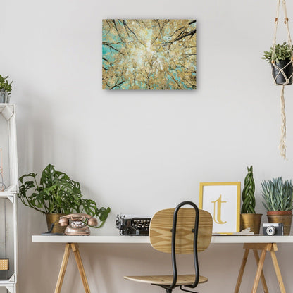 Cielo alto - Studio Arts