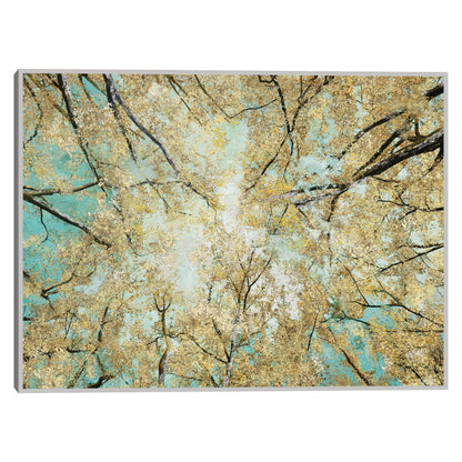 Cielo alto - Studio Arts