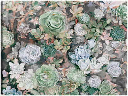 Jardín suculento - Studio Arts