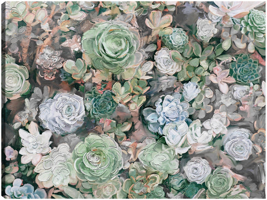Jardín suculento - Studio Arts
