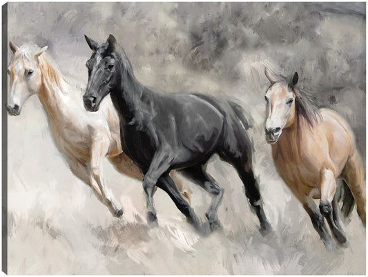 Cultivo de carrera dominical - Studio Arts