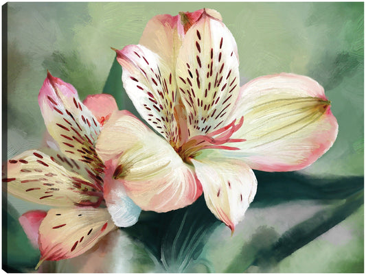Lirio tropical - Studio Arts