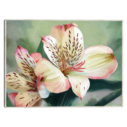 Lirio tropical - Studio Arts