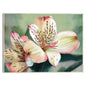 Lirio tropical - Studio Arts