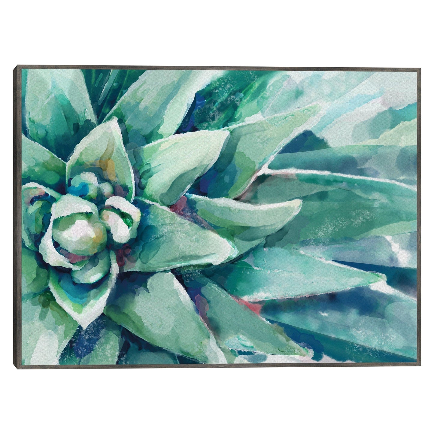 Flor suculenta acuarela - Studio Arts