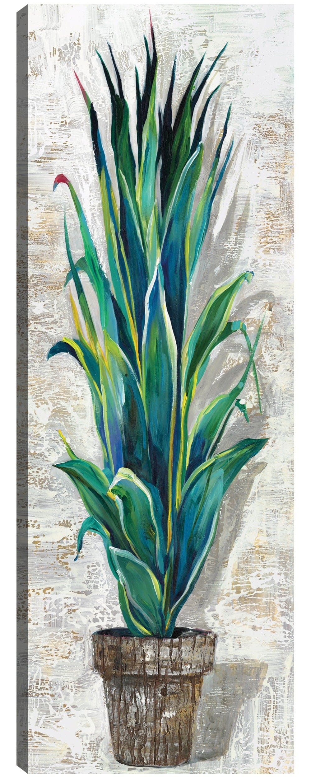 Perfil de cactus II - Sandy Doonan