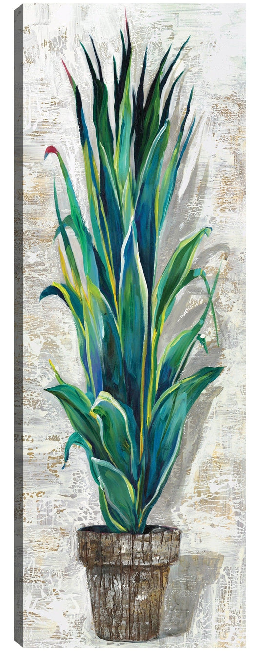 Perfil de cactus II - Sandy Doonan