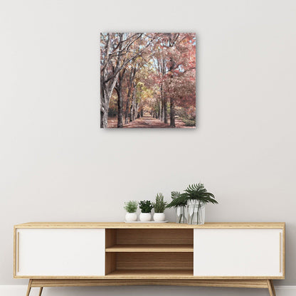 Rango de otoño - Studio Arts
