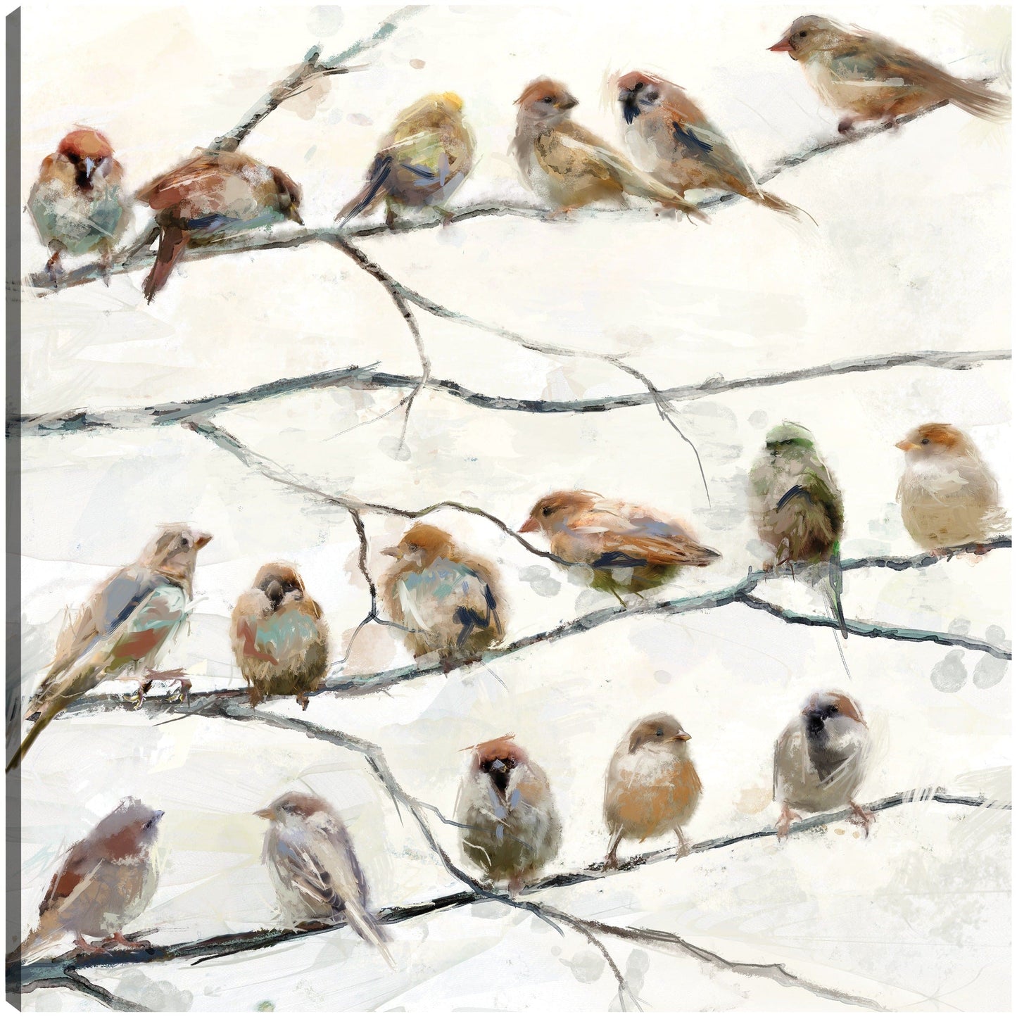 Pájaros del mismo plumaje - Studio Arts