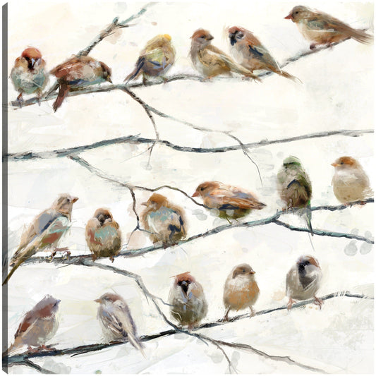 Pájaros del mismo plumaje - Studio Arts