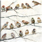 Pájaros del mismo plumaje - Studio Arts