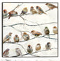 Pájaros del mismo plumaje - Studio Arts