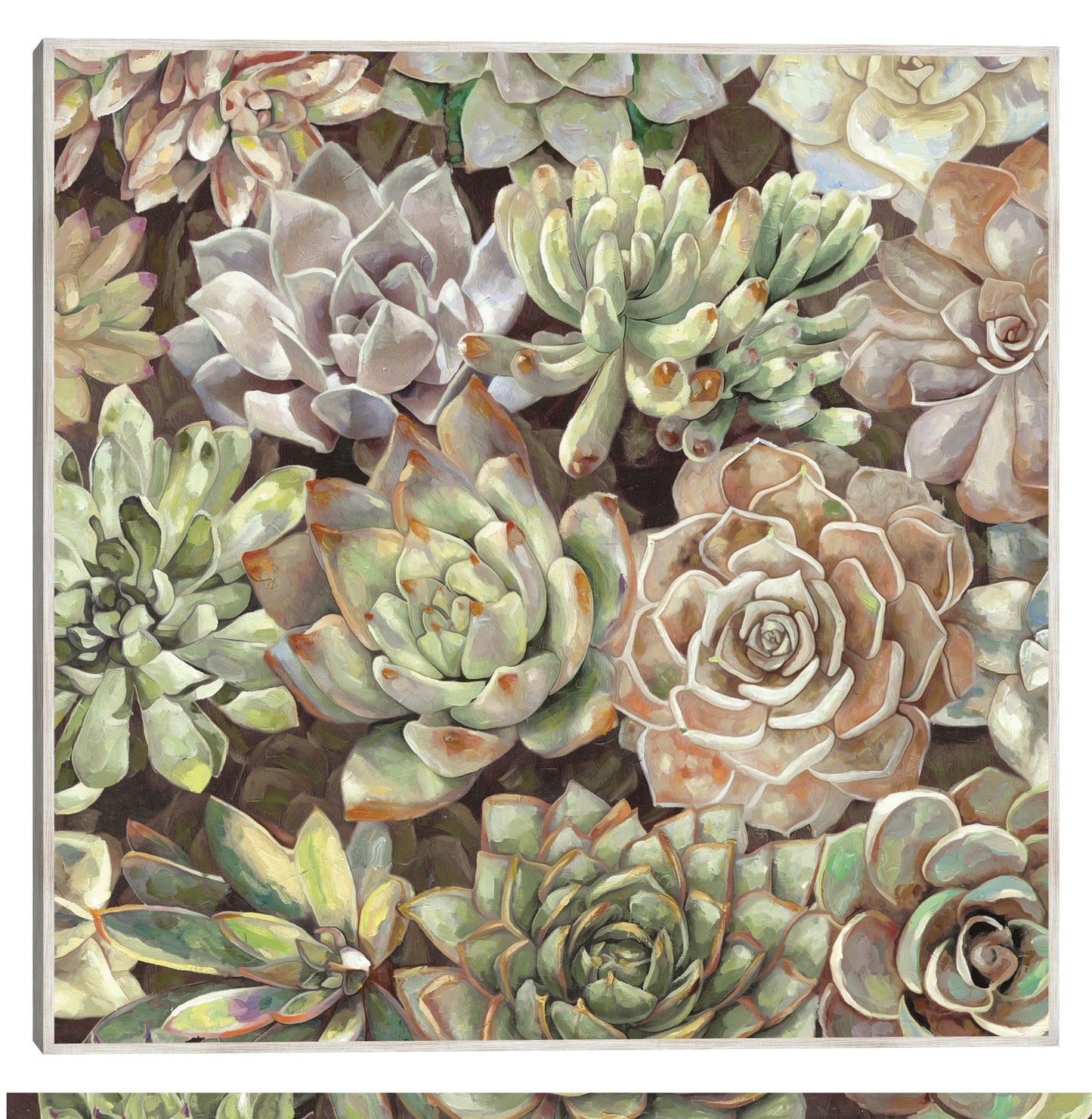 Jardin del desierto - Studio Arts