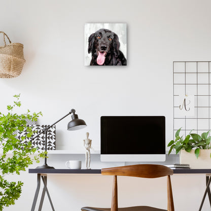 Días de perros I - Studio Arts