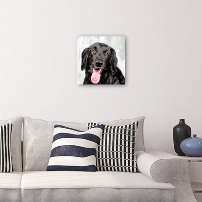 Días de perros I - Studio Arts