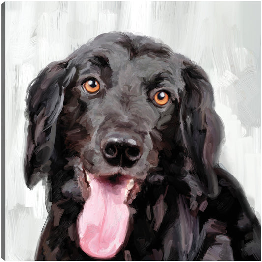 Días de perros I - Studio Arts