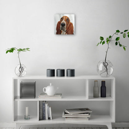 Días de perros II - Studio Arts