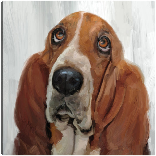 Días de perros II - Studio Arts
